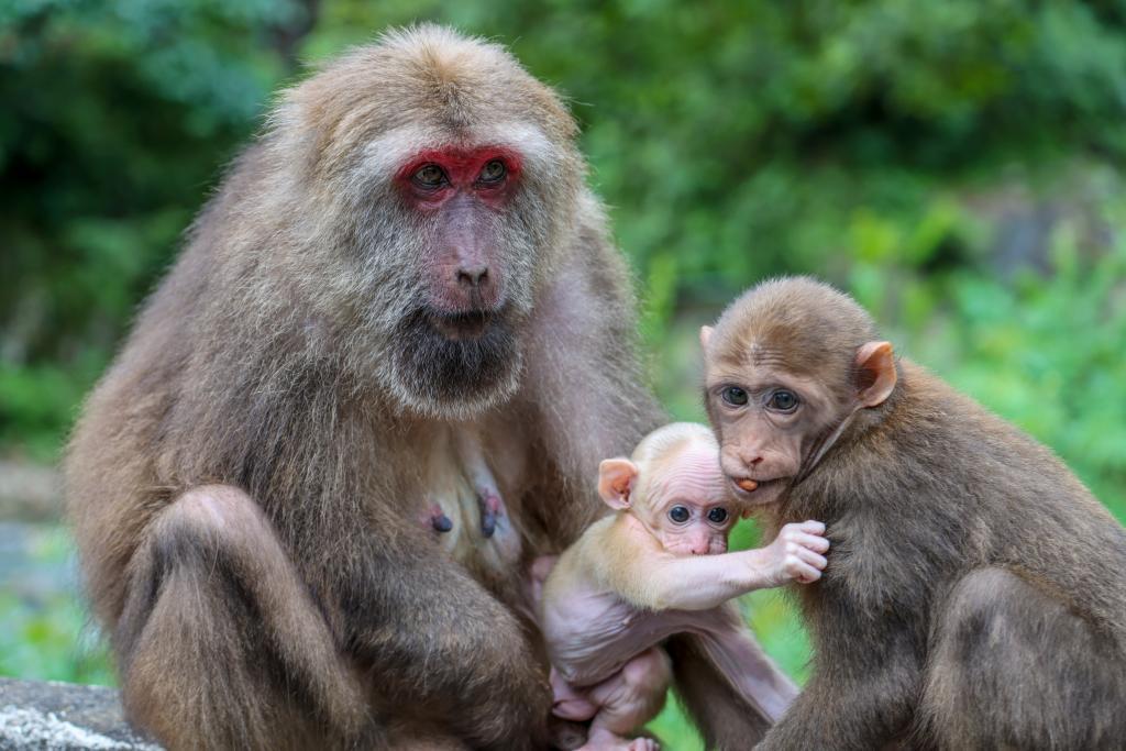 大美綻放！國家公園法施行
