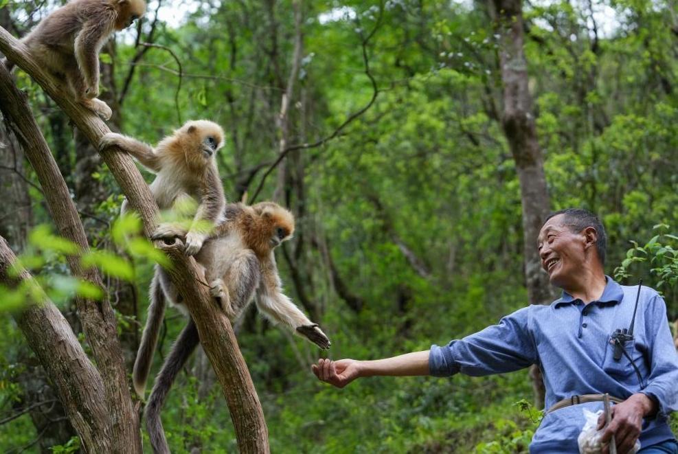 首次立法！國家公園筑起“法治屏障”